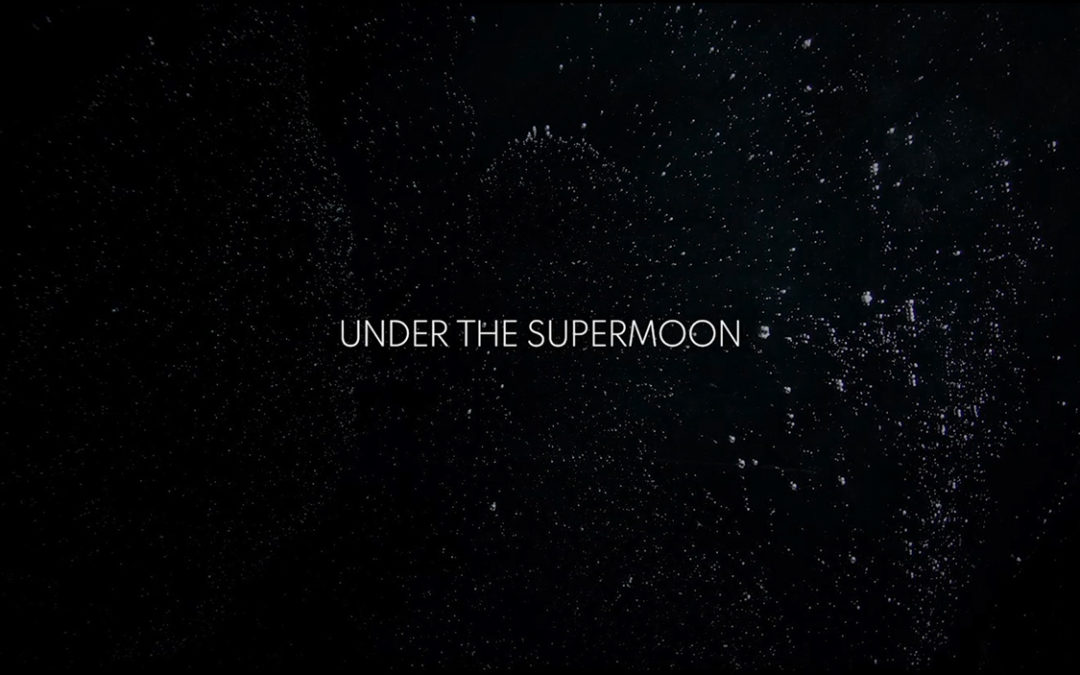 Under The Supermoon